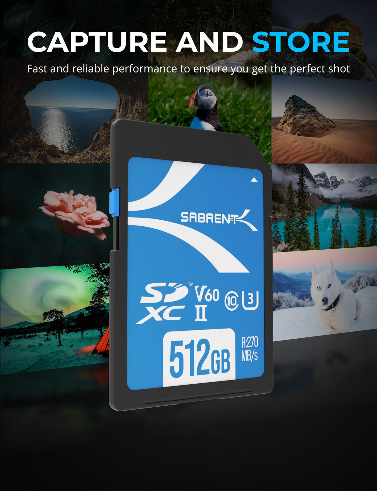 Rocket V60 SD UHS-II Memory Card