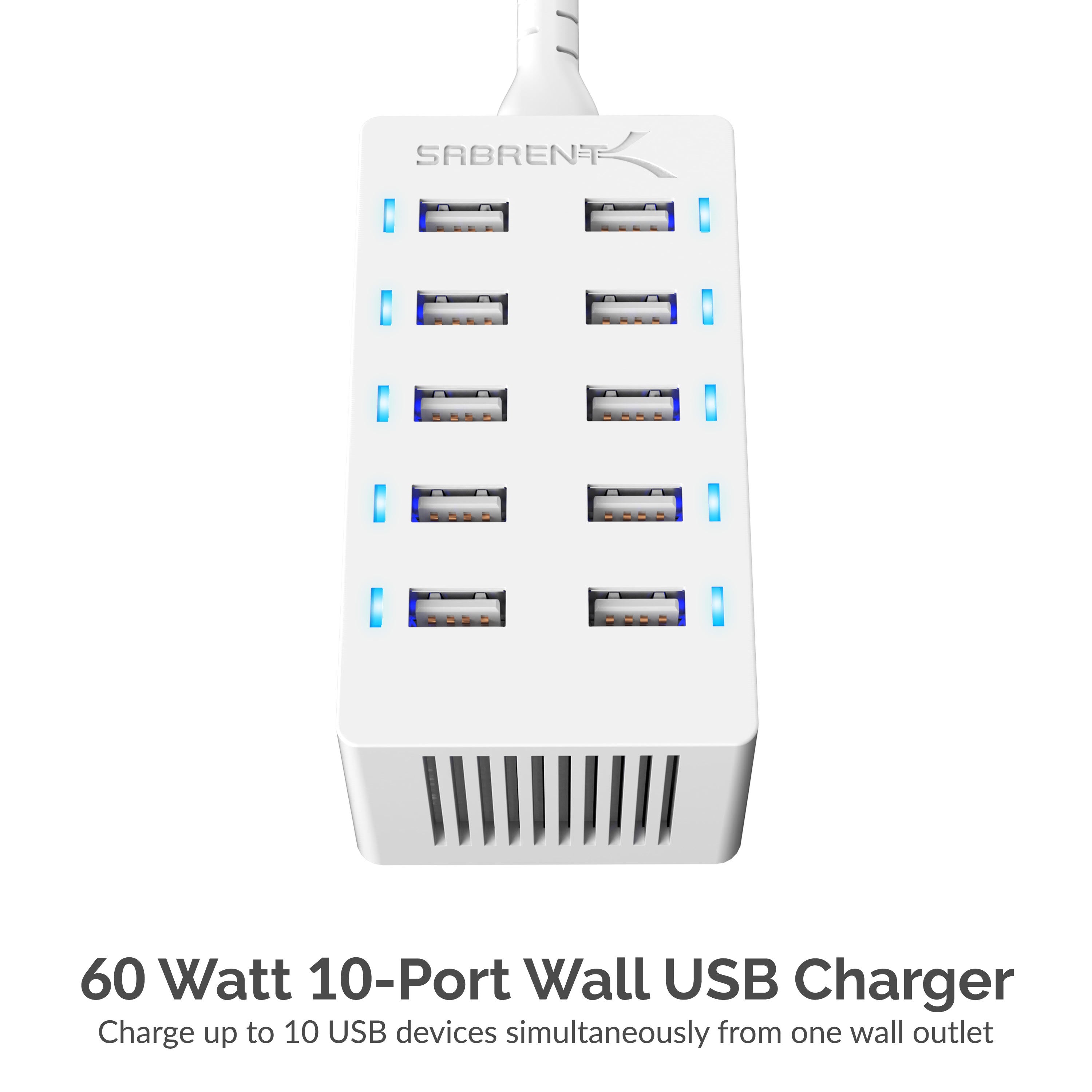 60 Watt (12 Amp) 10-Port Smart USB Rapid Charger