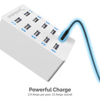 60 Watt (12 Amp) 10-Port Smart USB Rapid Charger