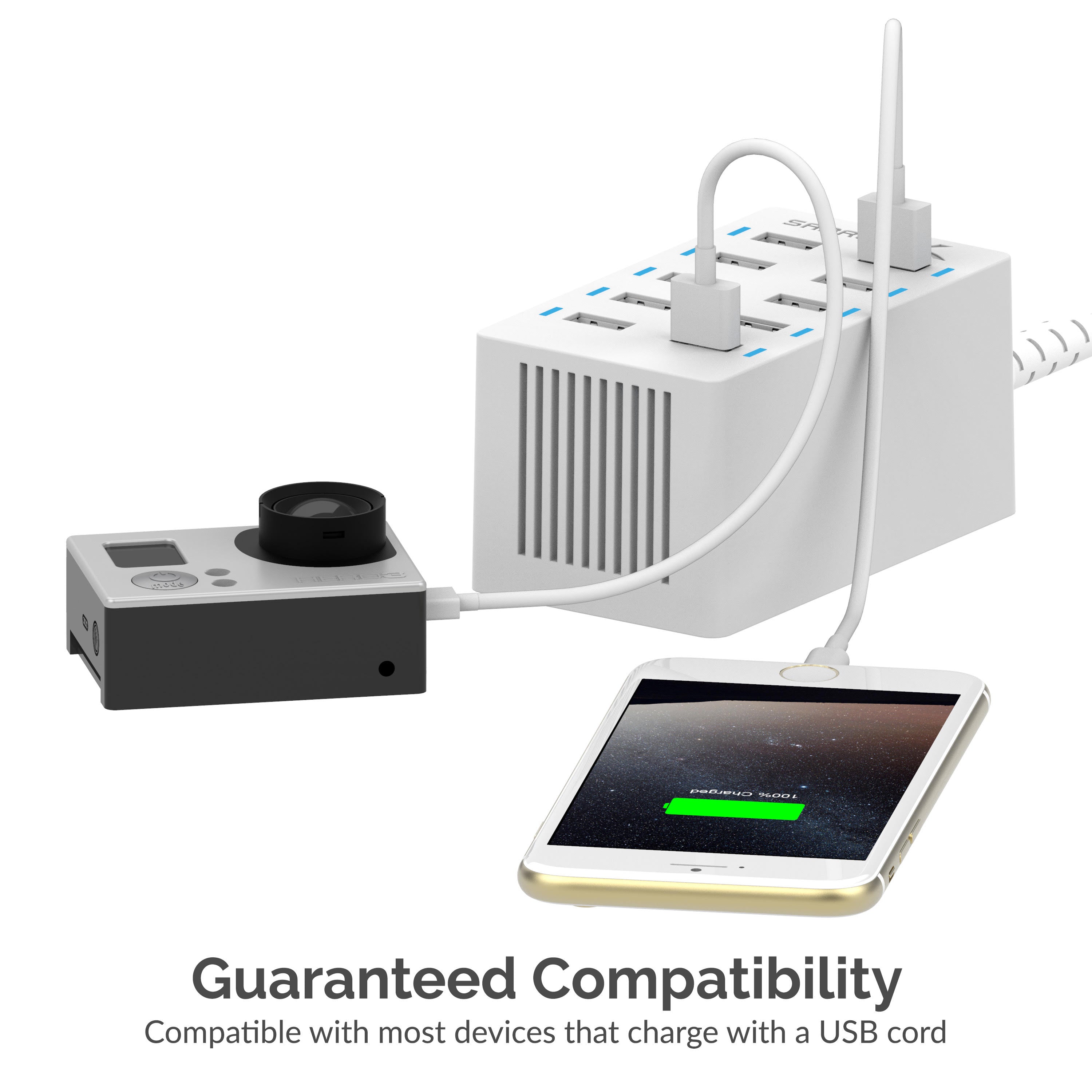 60 Watt (12 Amp) 10-Port Smart USB Rapid Charger