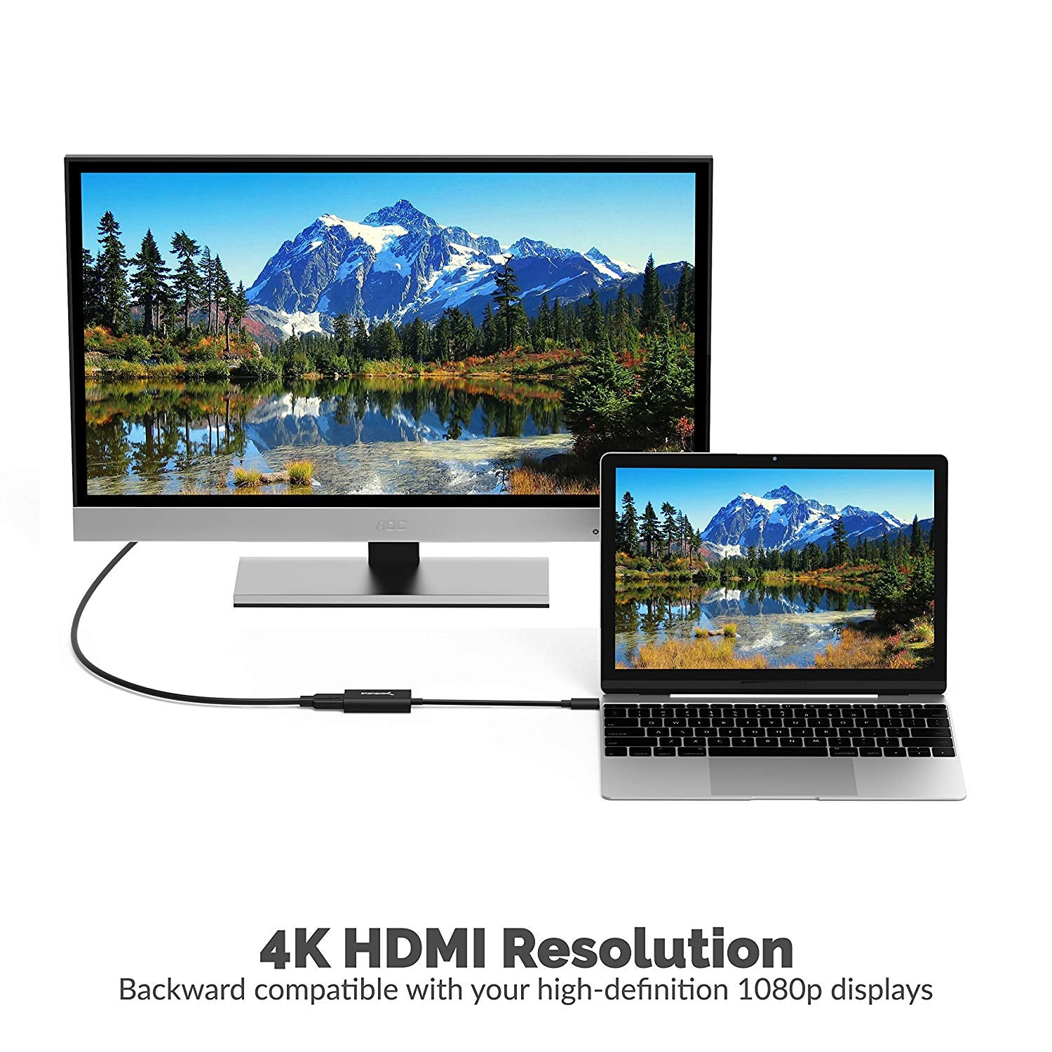 USB 3.1 Type-C to HDMI Adapter