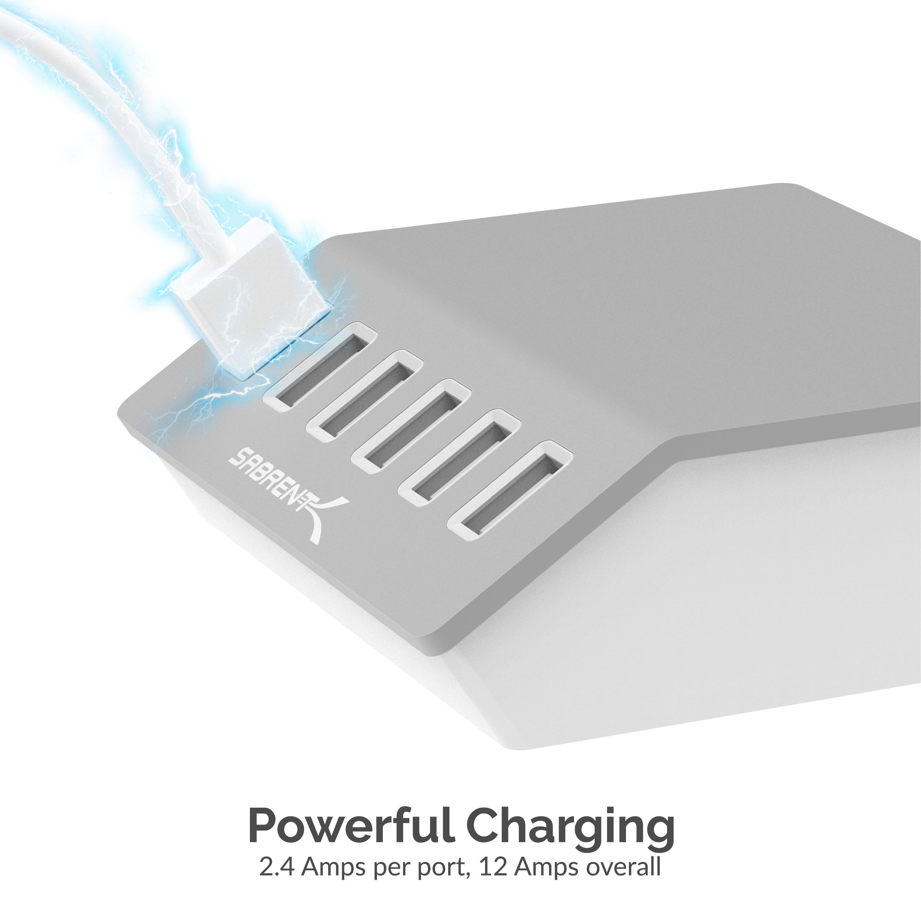 60 Watt (12 Amp) 6-Port USB Rapid Charger