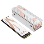 Rocket Q4 NVMe SSD