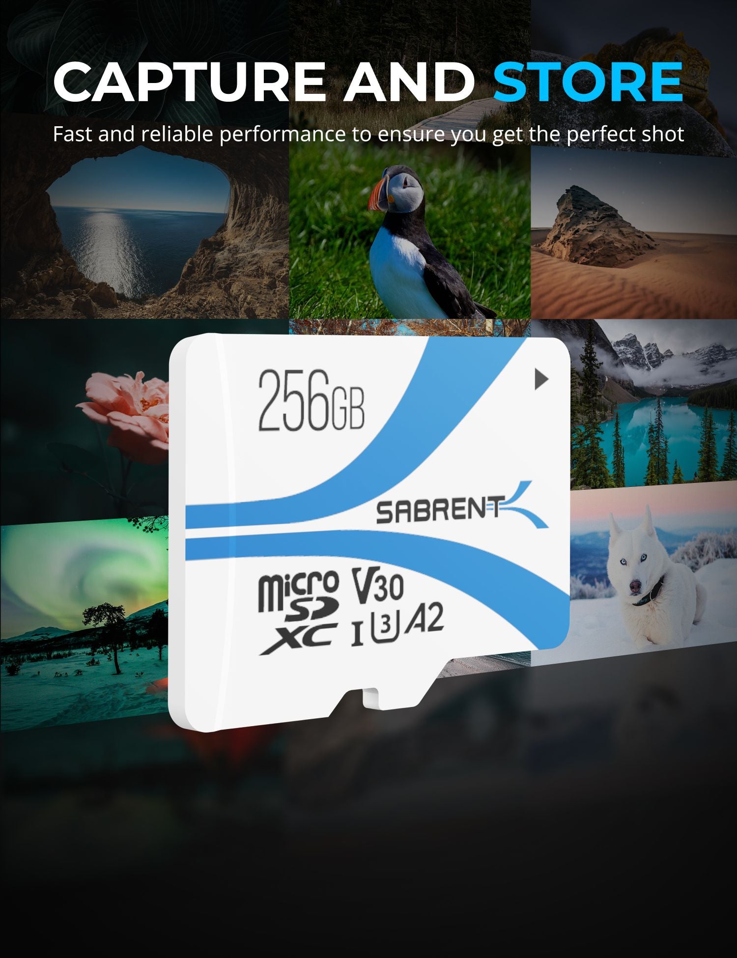 Rocket V30 A2 MicroSDXC Memory Card - Sabrent