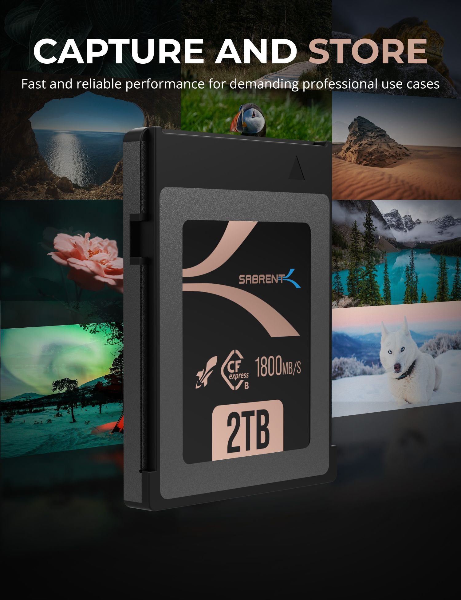 Rocket CFX Type B Memory Card 2TB