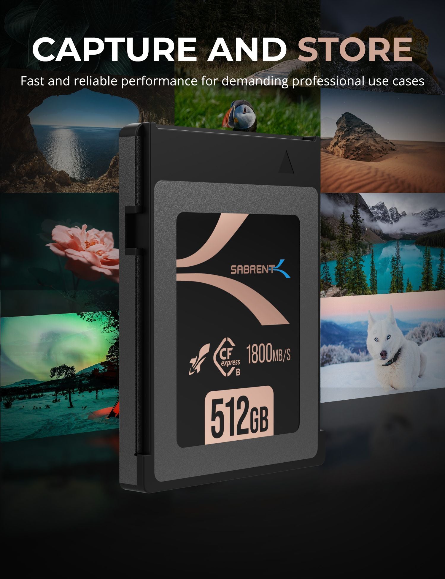 Rocket CFX Type B Memory Card 512GB