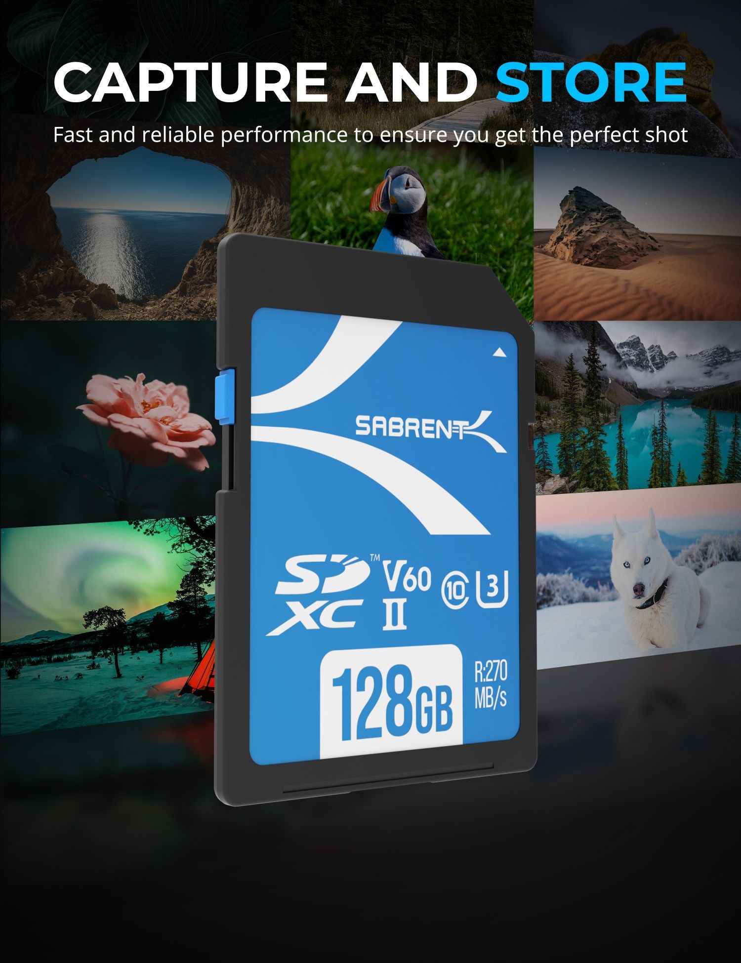 Rocket V60 SD UHS-II Memory Card - Sabrent