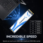 Rocket Q NVMe SSD