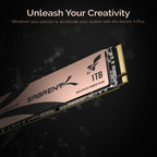Rocket 4 Plus SSD